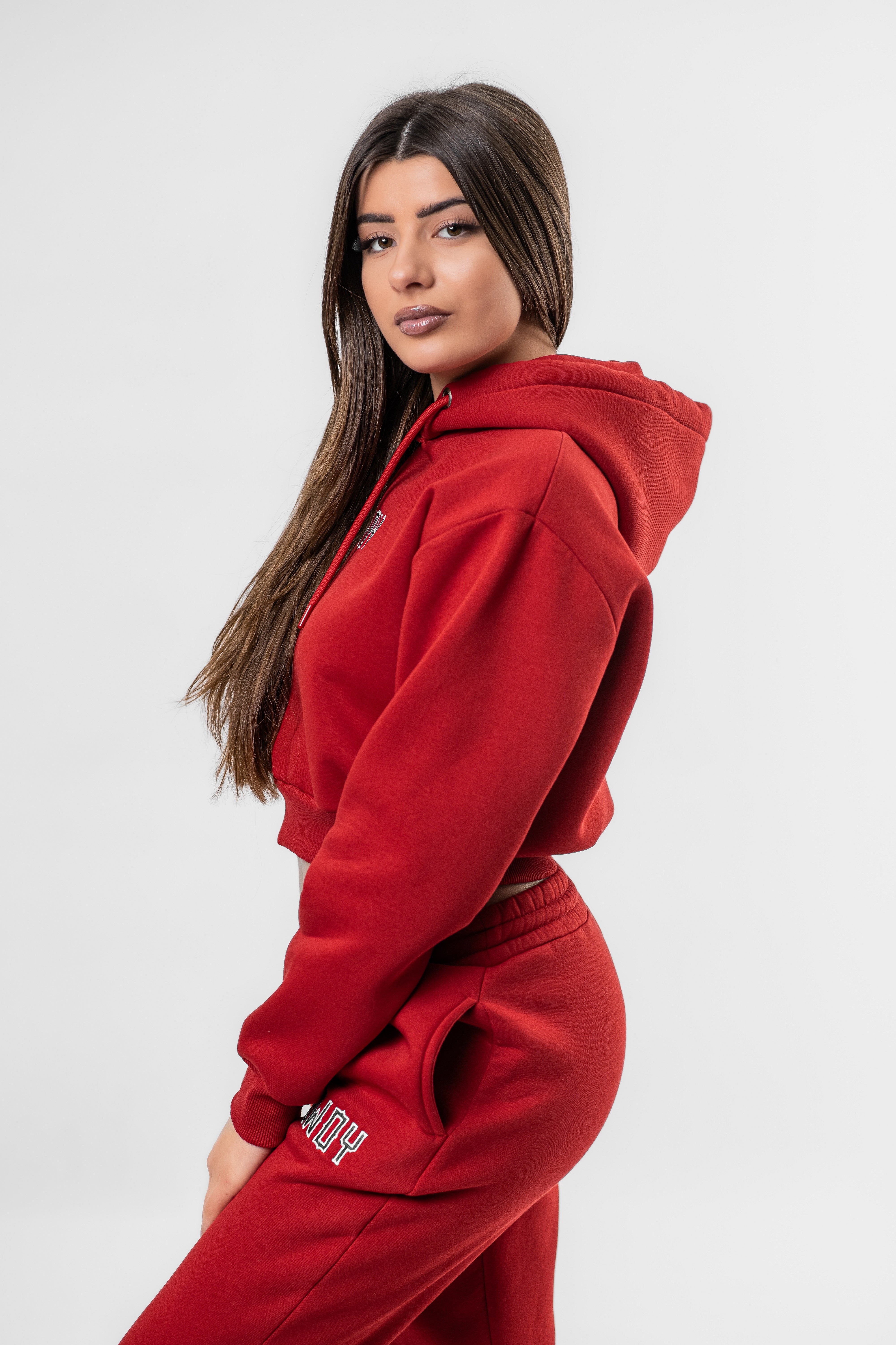 Latitant cropped hoodie